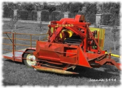 JOANNA 1994 STARA FOTOGRAFIA