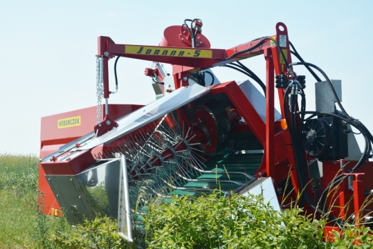 récolteuse-pour-cerises-de-kamchatka  JOANNA-5 (2)