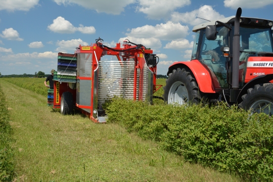 haskap harvester KAREN